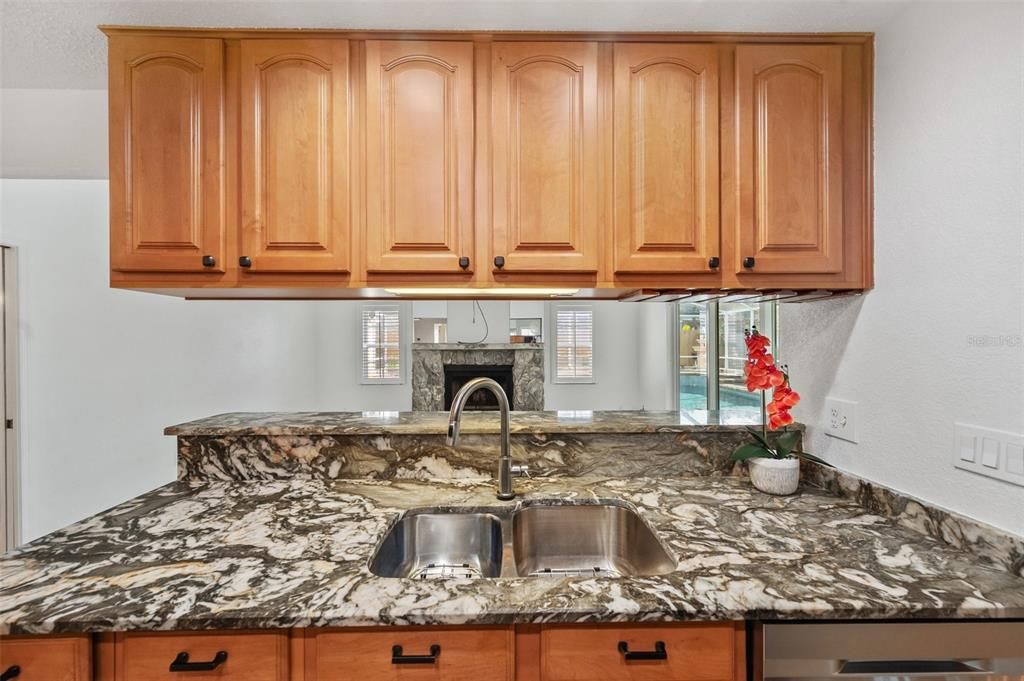 Kitchen / family room.