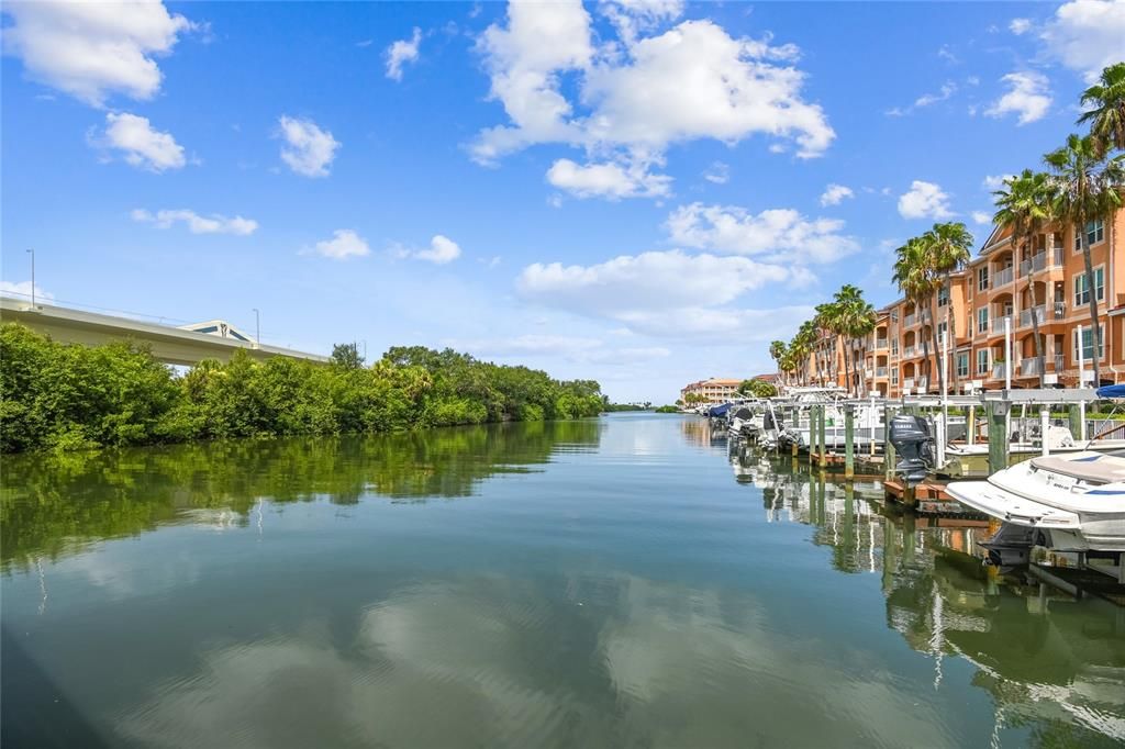 Canal full of manatees year round