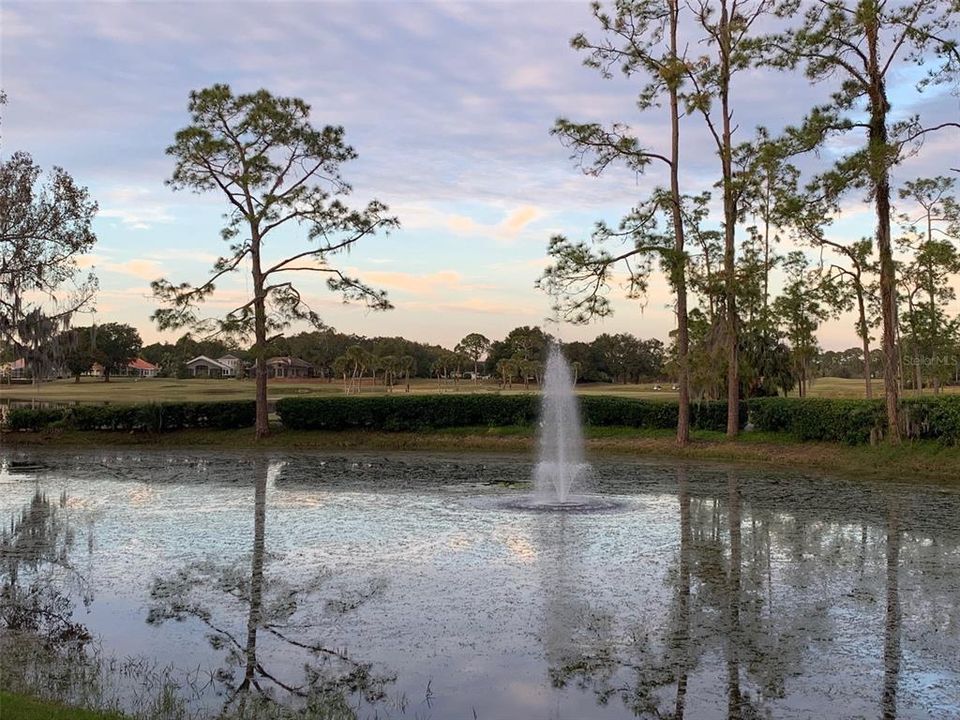 View from unit of the pond.