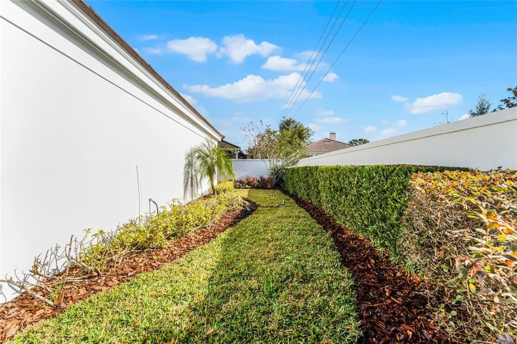 Newly sodded back yard