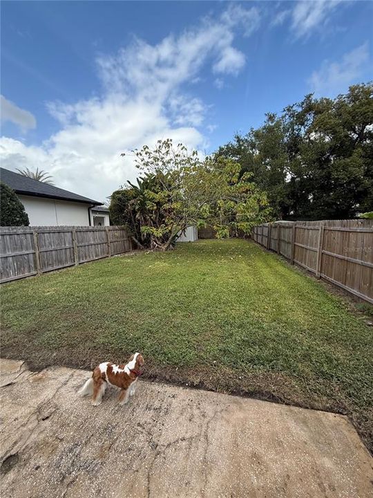 full fenced backyard