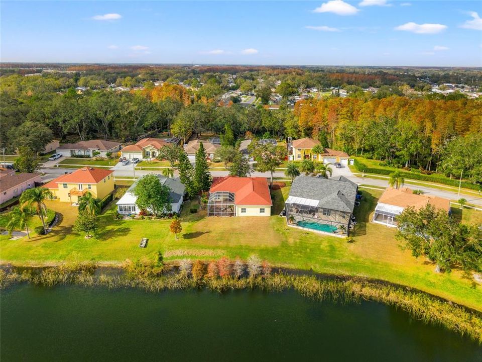 Backyard from Lake