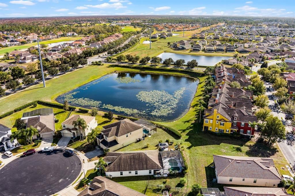 Aerial View of Cul-De-Sac