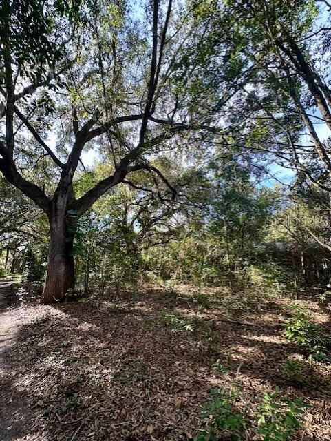 待售: $1,000,000 (6 贝兹, 4 浴室, 2600 平方英尺)