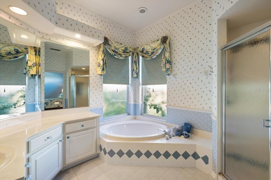 Primary bathroom with jacuzzi tub and separate shower