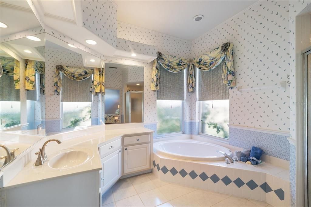 Primary bathroom with jacuzzi tub