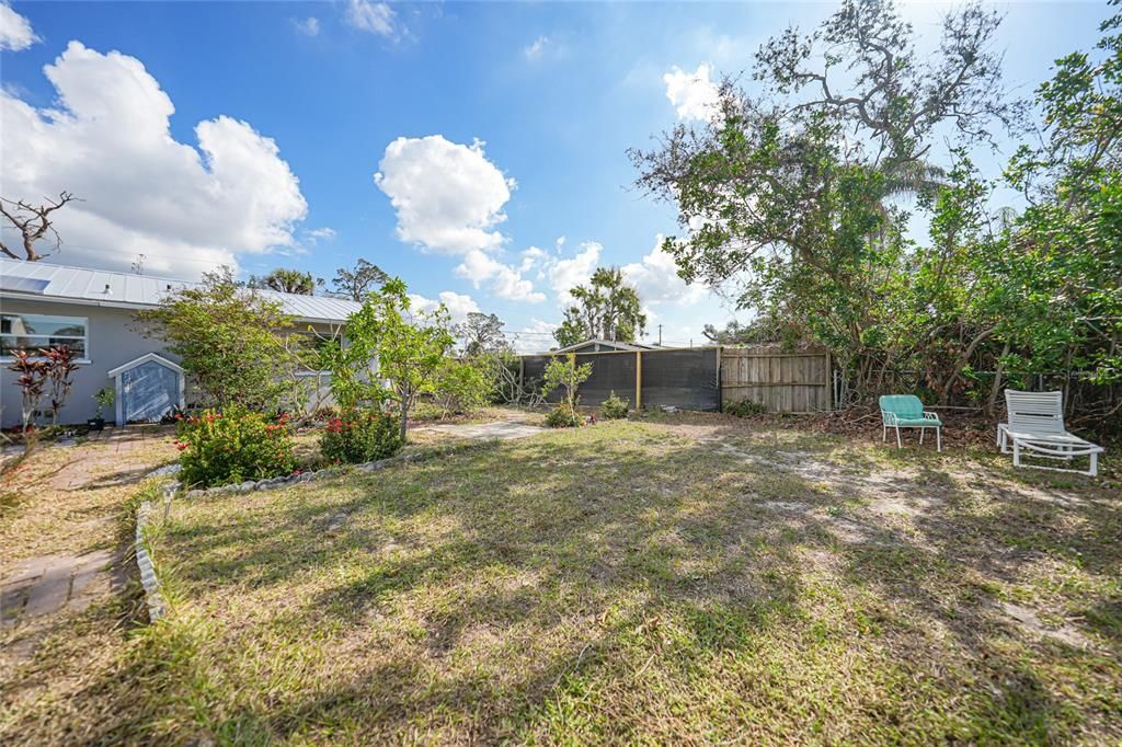 Florida flora and fruit trees