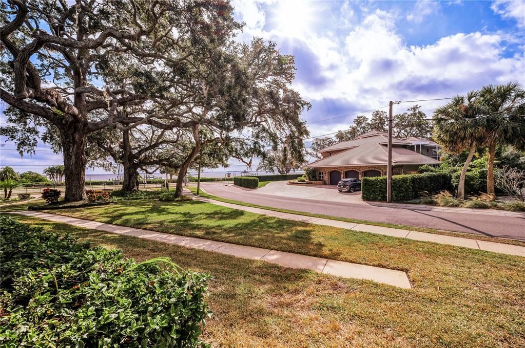 Historical 200+ year old Lover's Oak Tree foreground, Tampa Bay background