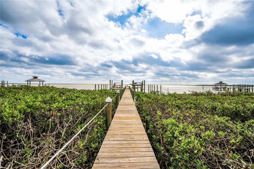 Boardwalk out to dock