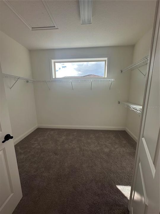 Primary Bedroom Walk in Closet