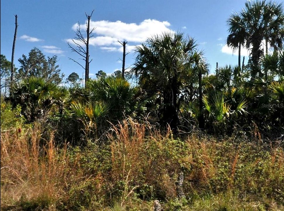 En Venta: $25,000 (0.23 acres)