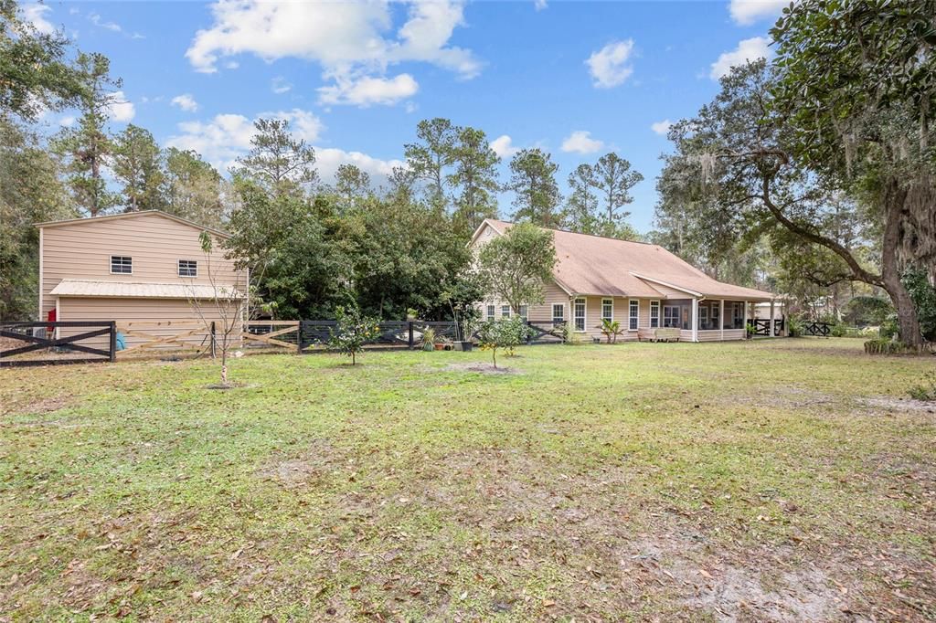 Backyard view from property line.