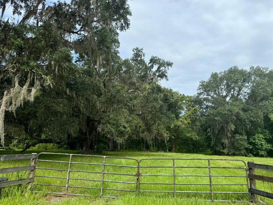 For Sale: $525,000 (51.33 acres)