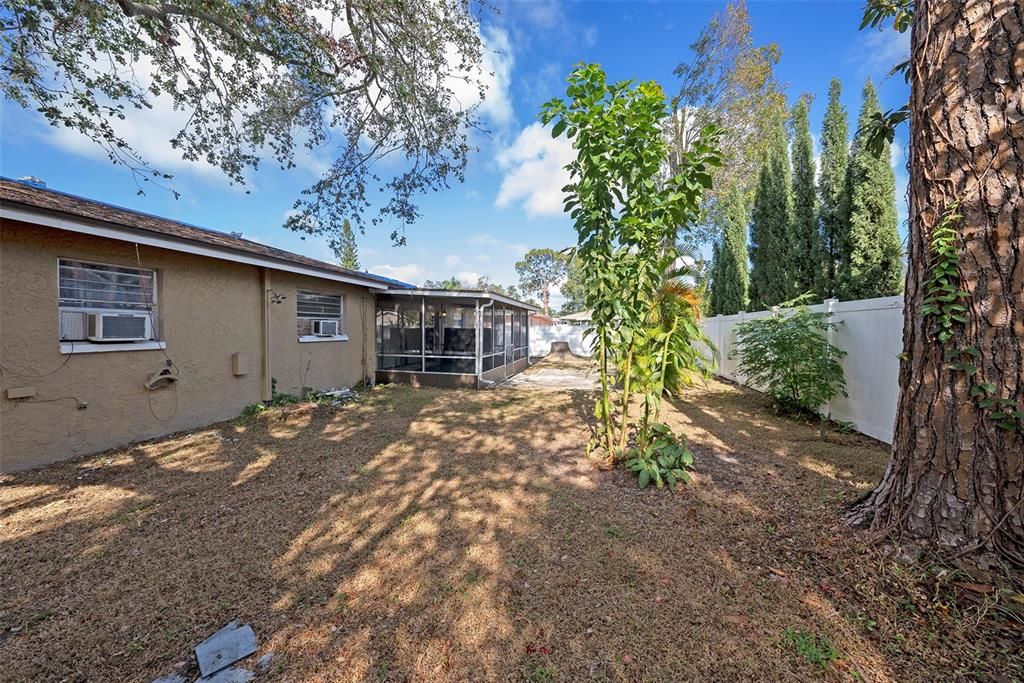 Fenced in back yard.