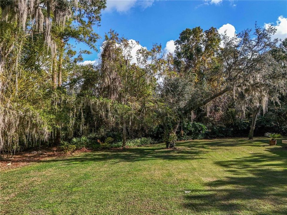 Large backyard with conservation area beyond (no neighbors!)