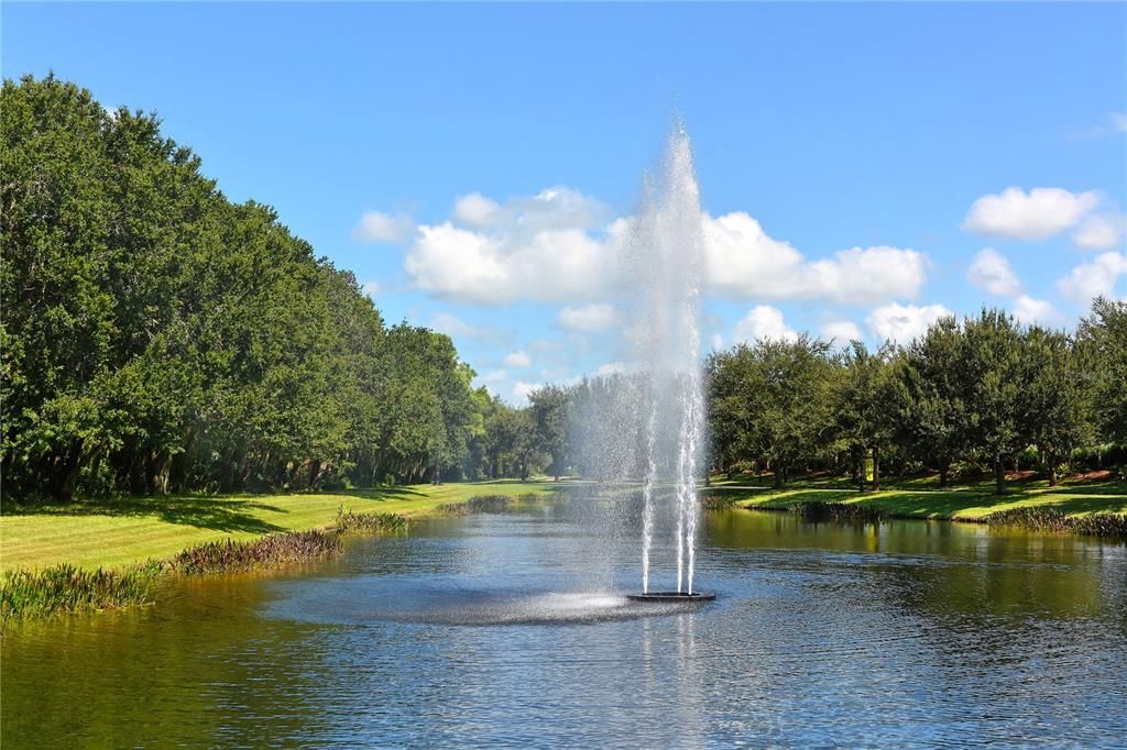 Large pond at the main entrance