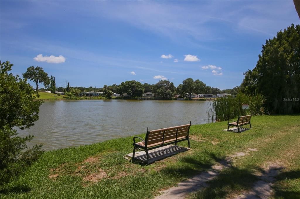 Veterans Park on Egret Lake