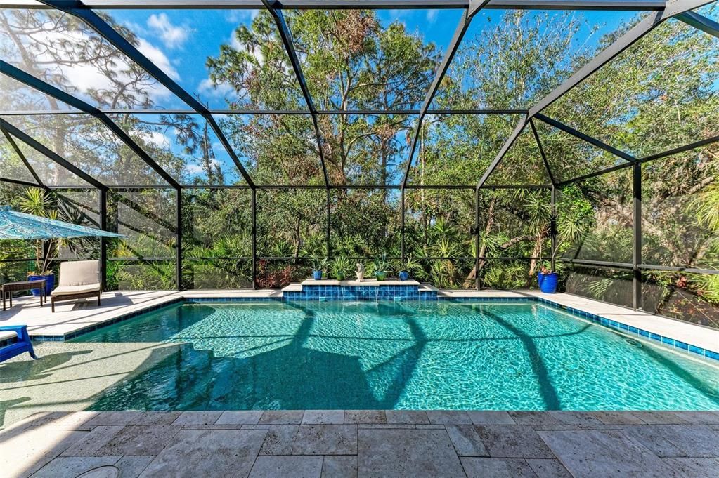 Screened-in pool with sunshelf.