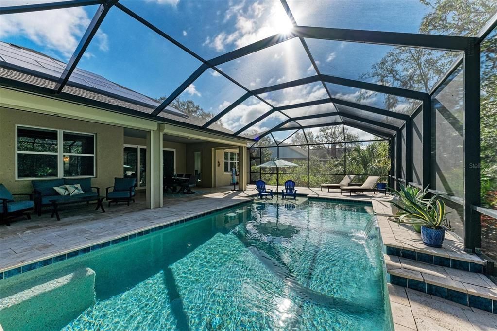 Screened-in pool with sunshelf.