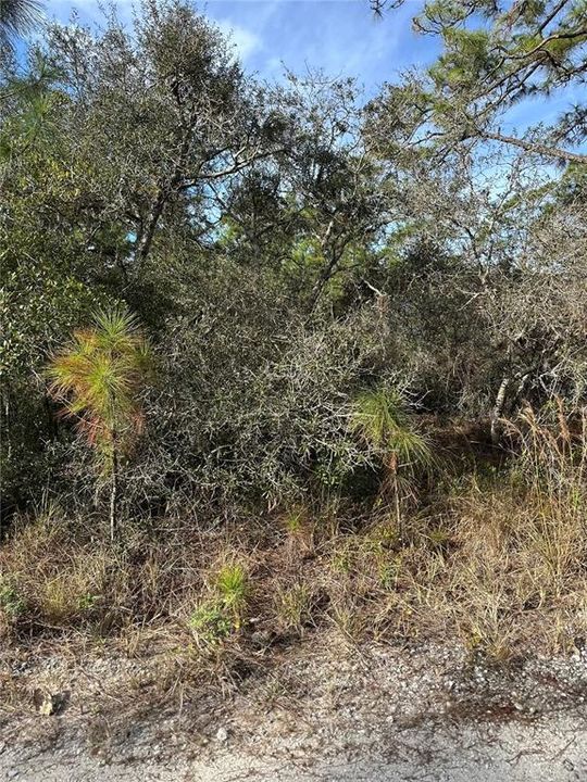 En Venta: $18,000 (0.24 acres)