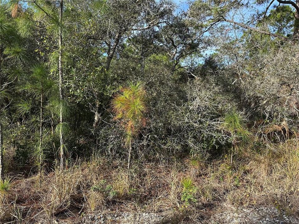 En Venta: $18,000 (0.24 acres)