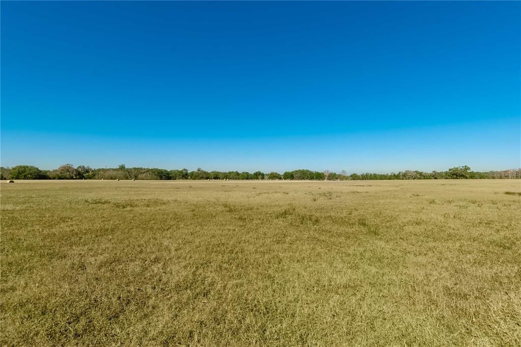 For Sale: $2,490,000 (100.00 acres)