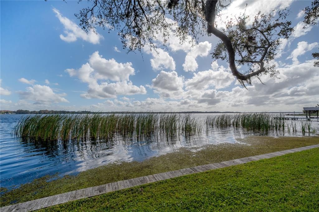 Boardwalk along Lake Tarpon