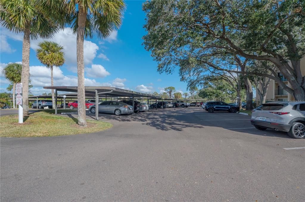 Assigned parking under Carport