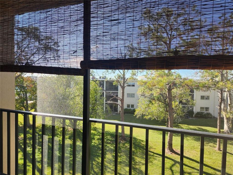 View from screened porch.  New screening, blinds and outdoor carpet.