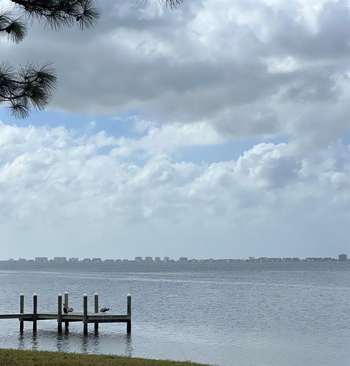 View of the water at Sarasota Bay.