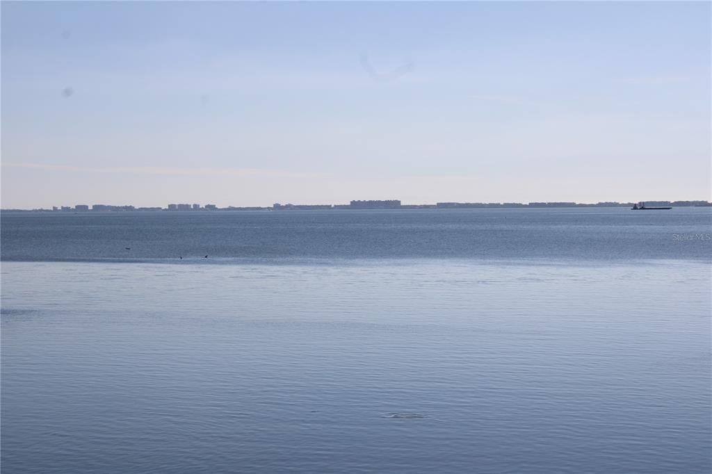 View of Sarasota Bay from Florida room