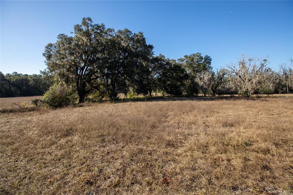 Active With Contract: $60,000 (2.64 acres)