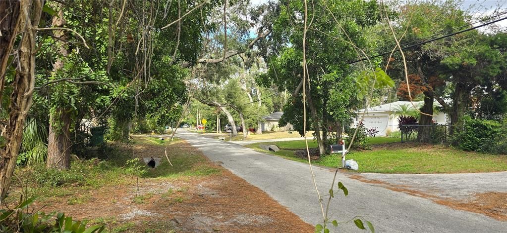 Paved Street