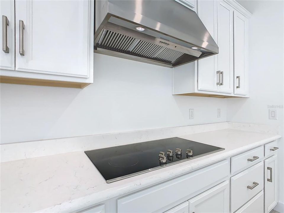 36" Radiant Cooktop with 36" Stainless exhaust fan vented to the outside.