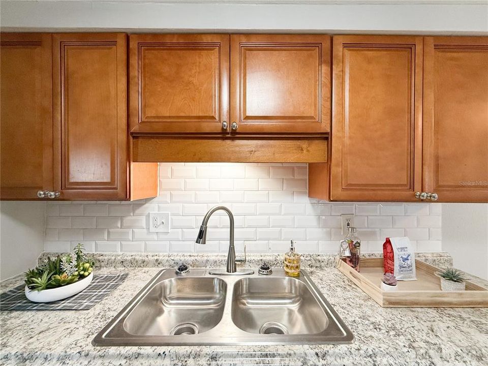 Kitchen Sink Area