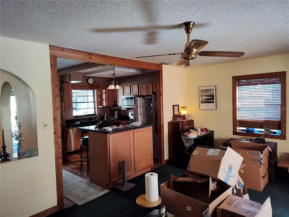 Living room and kitchen