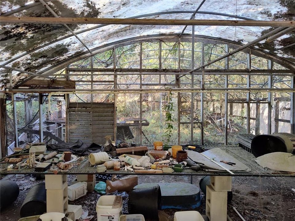 Greenhouse   needs some TLC