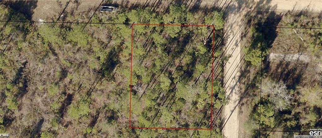 For Sale: $10,000 (0.29 acres)