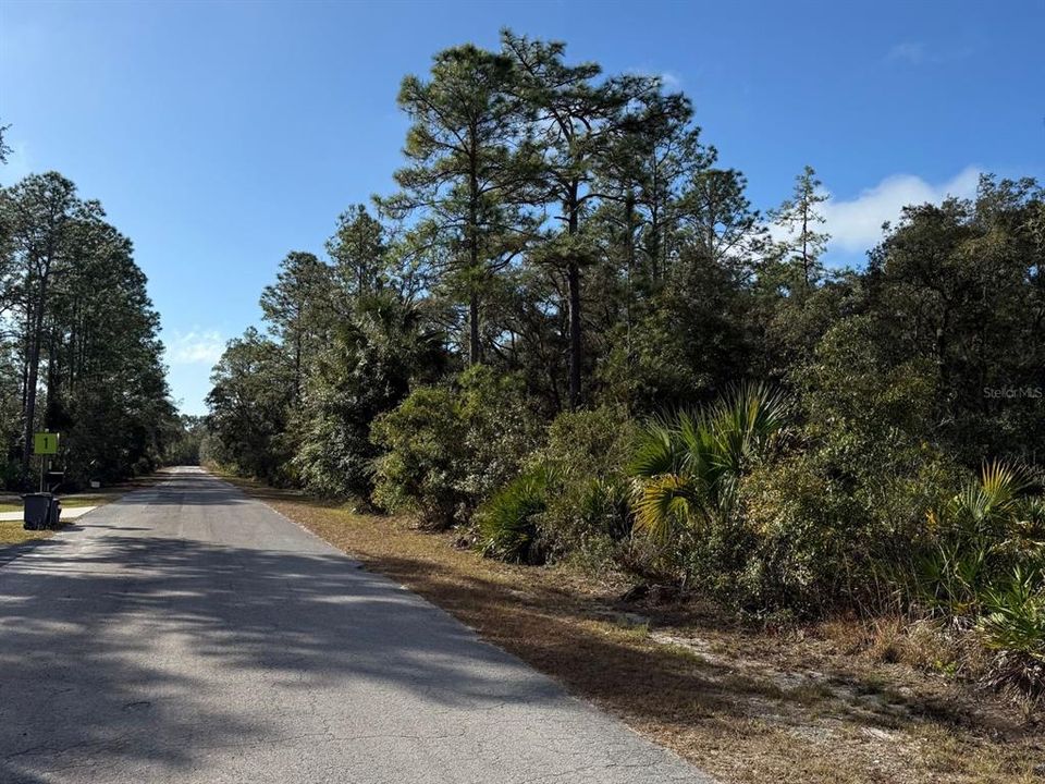 BONSAI AVE IS LOCATED ON A DEAD END CUL-DE-SAC ROAD, CORNER LOT WITH CONSERVATION VIEWS ALL AROUND!