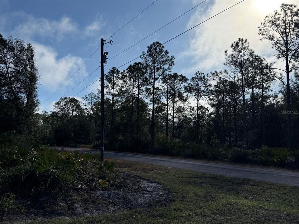 DESIRABLE CORNER LOT WITH ENDLESS CONSERVATION VIEWS!