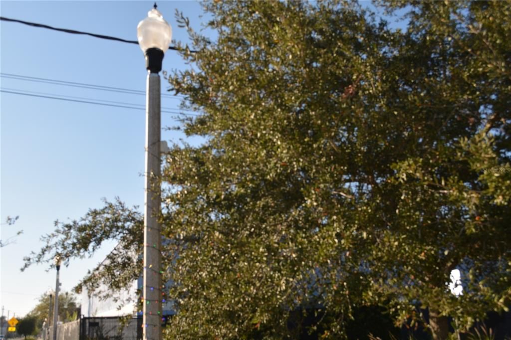 Street lights in the up and coming District of Sanford, Fl