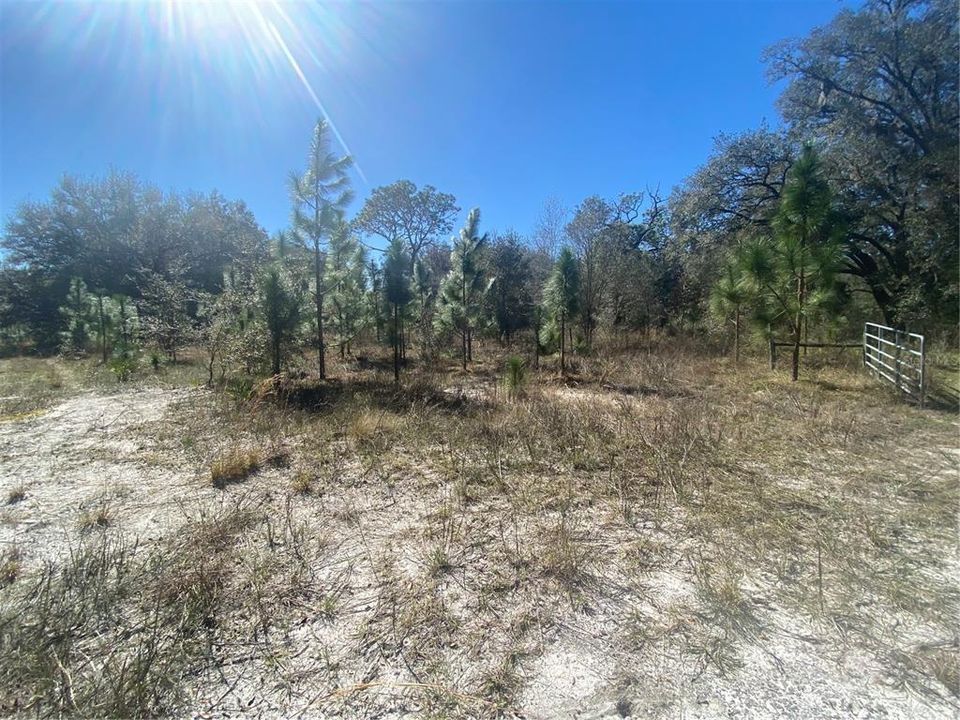 For Sale: $595,000 (20.00 acres)