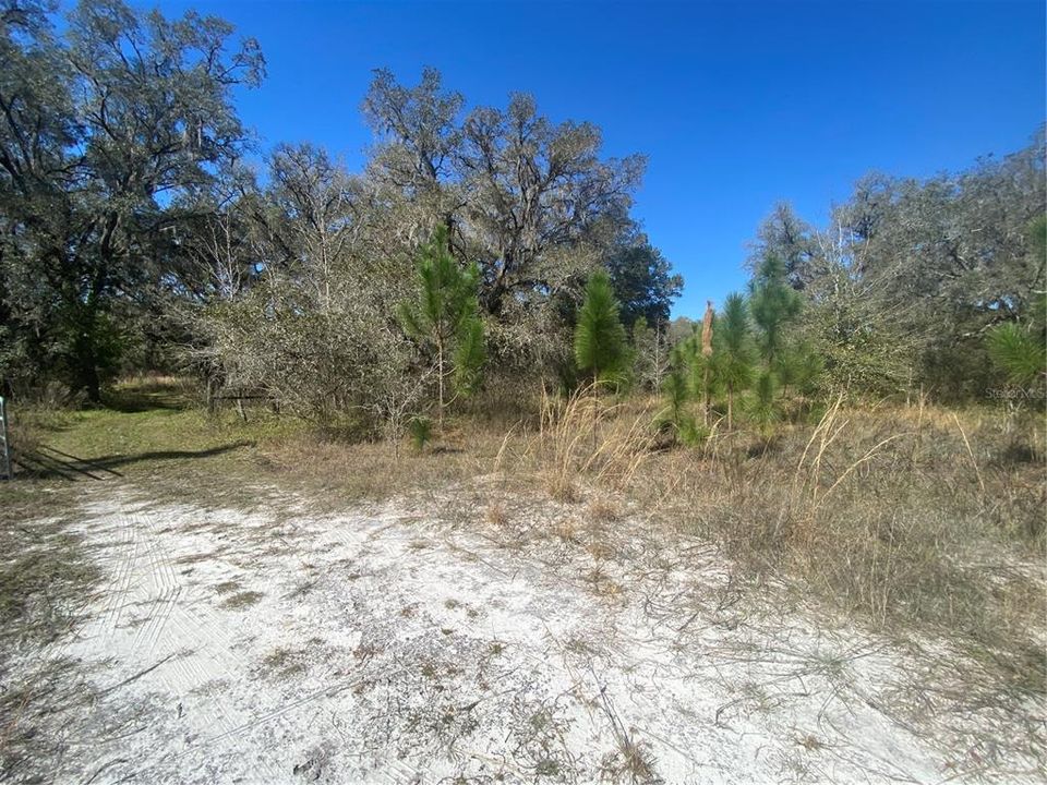 For Sale: $595,000 (20.00 acres)