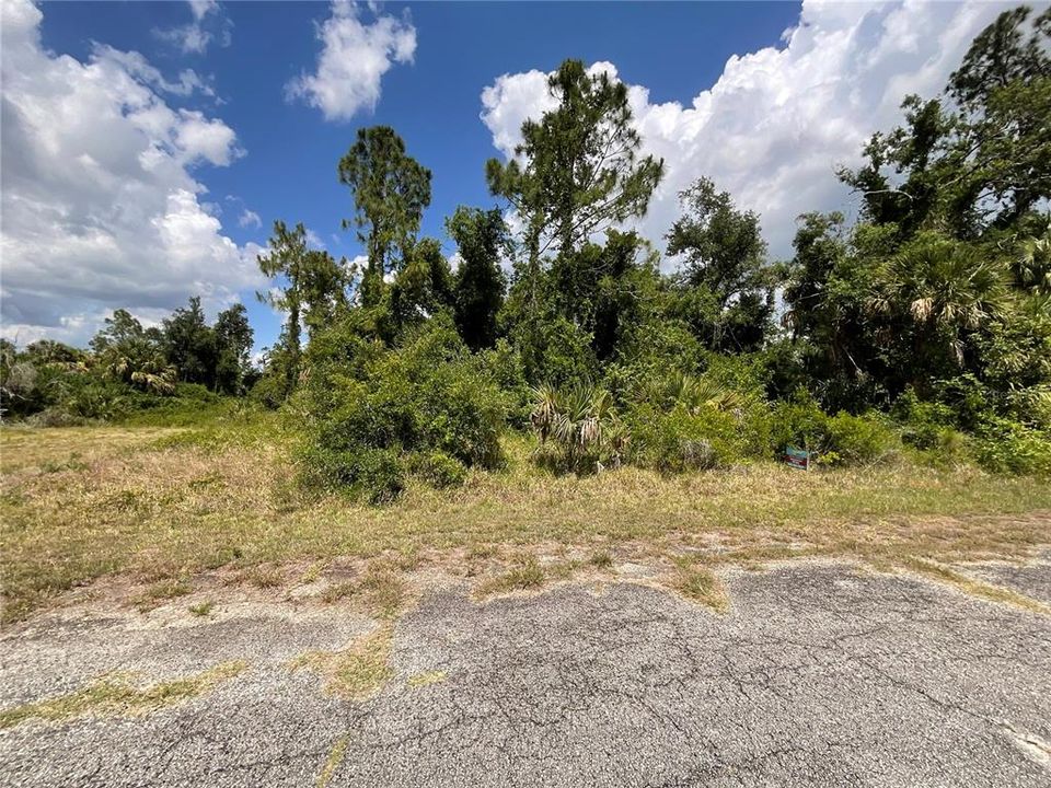 En Venta: $16,399 (0.31 acres)