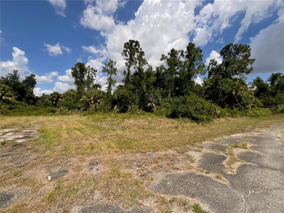 En Venta: $16,399 (0.31 acres)