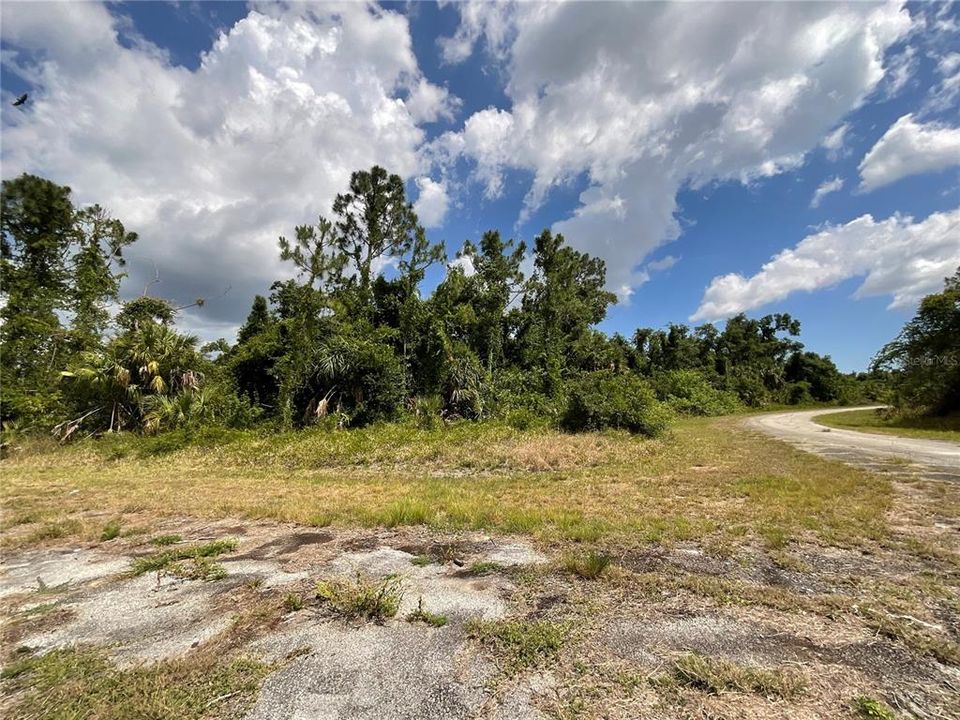 En Venta: $16,399 (0.31 acres)