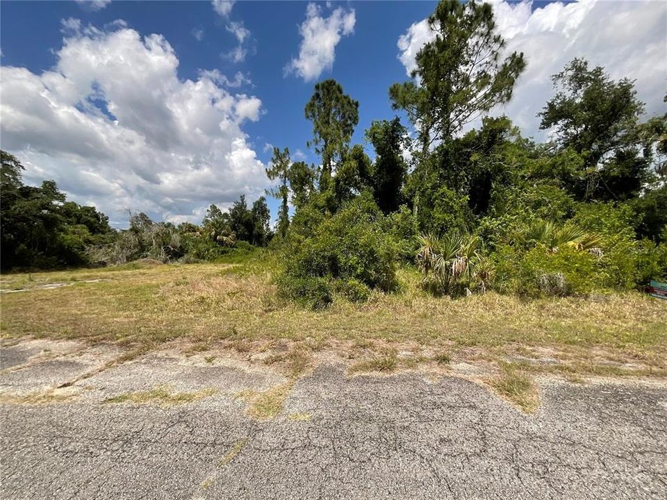 En Venta: $16,399 (0.31 acres)