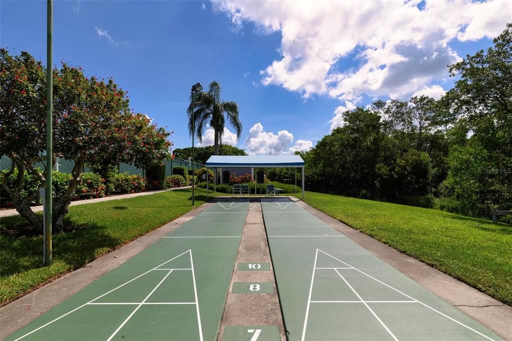 Shuffleboard