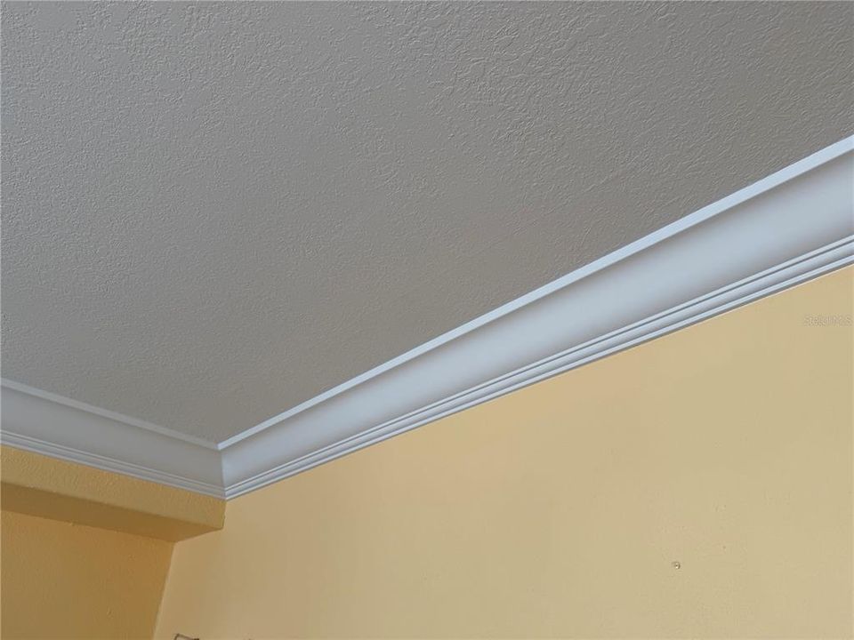 Crown Molding