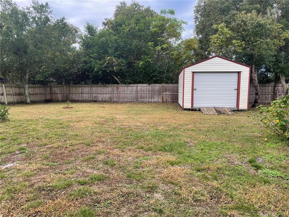 Shed in Back Yard